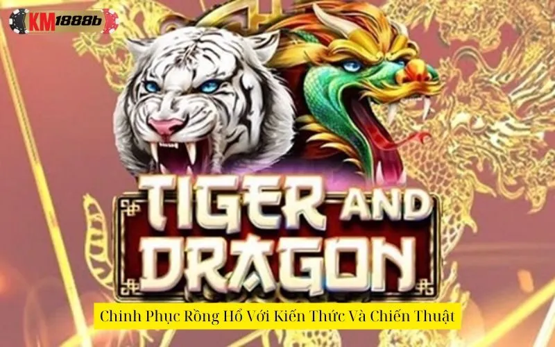 Chinh Phục Rồng Hổ Với Kiến Thức Và Chiến Thuật