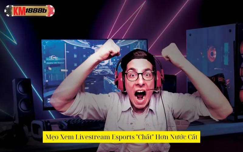 Mẹo Xem Livestream Esports "Chất" Hơn Nước Cất